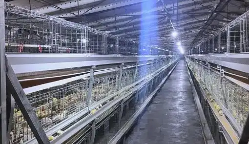 1760690799350108.png 1760690799350108.png