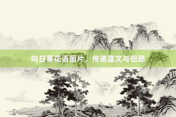 向日葵花语图片，传递温文与但愿